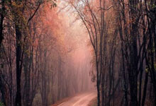 开云体育下载-库里48分轰塌潘帕斯长城！阿根廷老将含泪拥抱宿敌